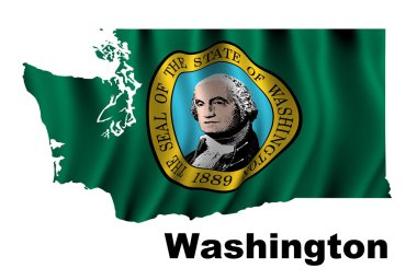 washington bayrağı