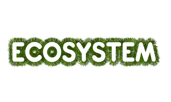 Ecosysteem titel met gras arround — Stockfoto