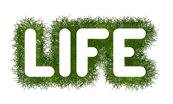 Life  title with grass arround — Stock Photo, Image