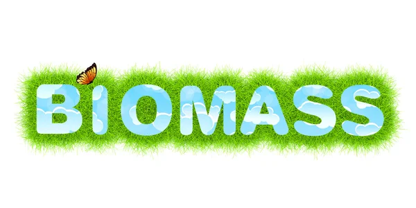 Biomassa — Fotografia de Stock