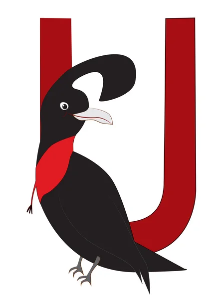 U-umbrellabird — Stockový vektor