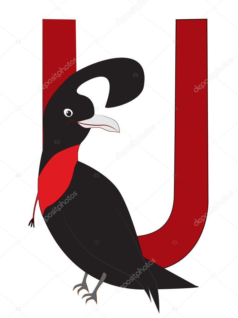 U-umbrellabird Stock Vector Image by ©jsddesign #71619231 U-umbrellabird Stock Vector Image by ©jsddesign #71619231