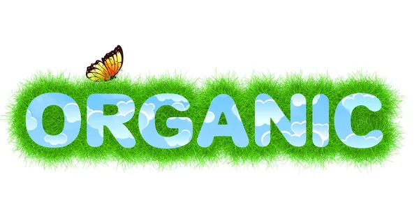Orgánico — Foto de Stock