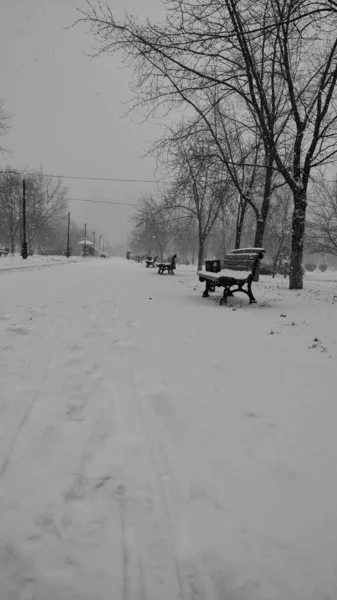 Een Verlaten Steegje Het Park Avond Sneeuwval Bank — Stockfoto