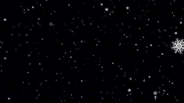 Snoeien Animatie Met Gedetailleerde Mooie Sneeuwvlokken Alfa Kanaal Toegevoegd Sneeuwval — Stockvideo