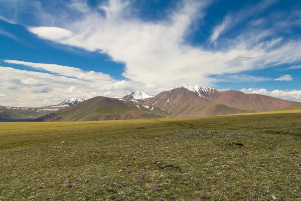 Plateau high in the mountains — Stock Photo, Image