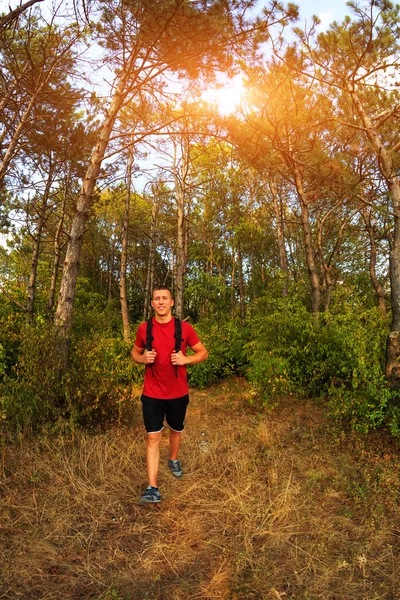 Sportlicher Mann mit Rucksack wandert im Wald — Stockfoto