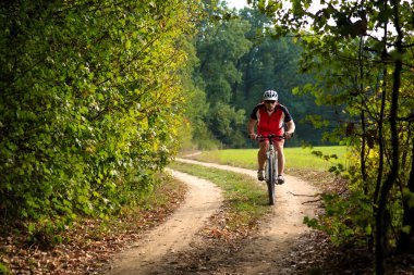 Binici Dağı'nda orman Bisiklet