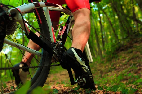 Radfahrer fährt Mountainbike auf felsigem Weg — Stockfoto