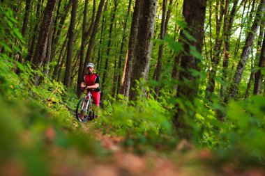 Binici Dağı'nda orman Bisiklet