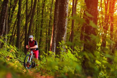 Binici Dağı'nda orman Bisiklet