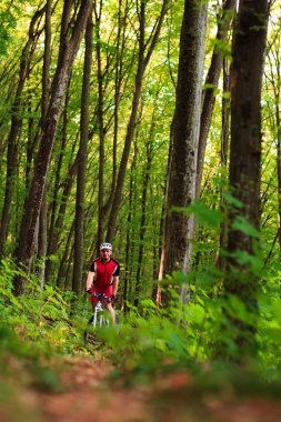 Binici Dağı'nda orman Bisiklet