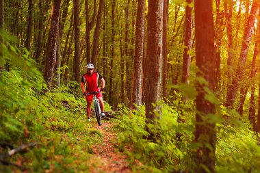 Binici Dağı'nda orman Bisiklet