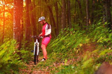Binici Dağı'nda orman Bisiklet