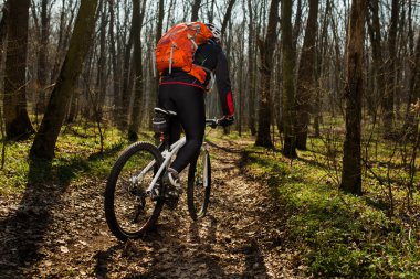 Springforest peyzaj üzerinde Bisiklete binmek Mountainbiker.