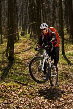 Springforest peyzaj üzerinde Bisiklete binmek Mountainbiker.