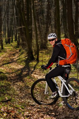 Springforest peyzaj üzerinde Bisiklete binmek Mountainbiker.
