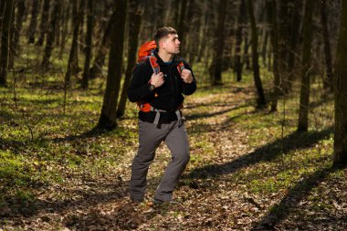 Aktif, sağlıklı bir adam güzel bir ormanda yürüyüş yapıyor.