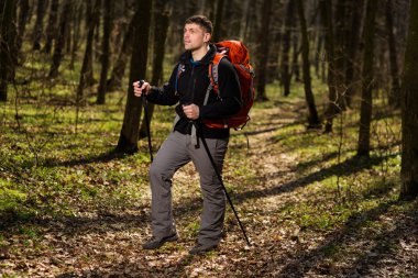 Aktif, sağlıklı bir adam güzel bir ormanda yürüyüş yapıyor.