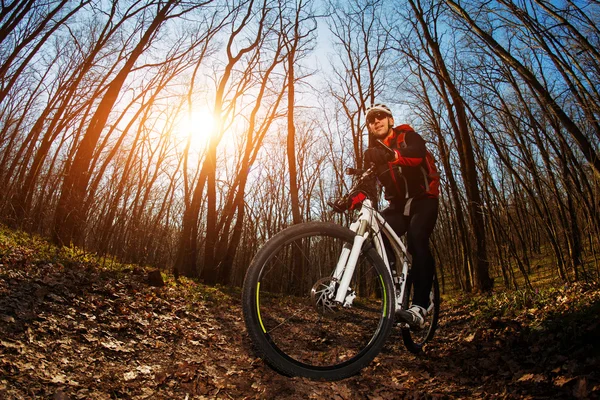 自転車、自転車に乗って — ストック写真