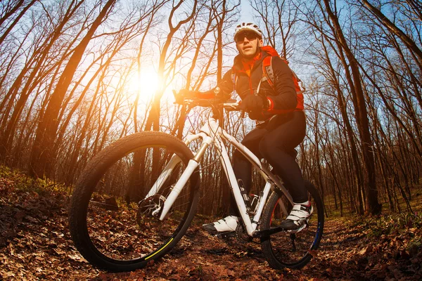 Cyclist Riding the Bike — Stock Photo, Image