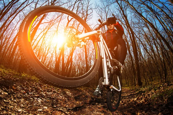 ขี่จักรยานขี่จักรยาน — ภาพถ่ายสต็อก