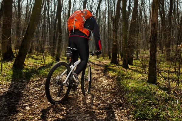 Ciclista de montaña montando en bicicleta en el paisaje del bosque de primavera . — Foto de Stock