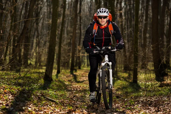 Mountainbike-cyklist ridning på cykel i springforest landskap. — Stockfoto