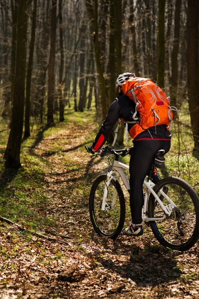 Ciclista de montaña montando en bicicleta en el paisaje del bosque de primavera . —  Fotos de Stock