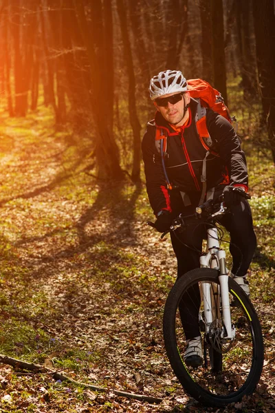 Mountain biker riding on bike in springforest landscape.