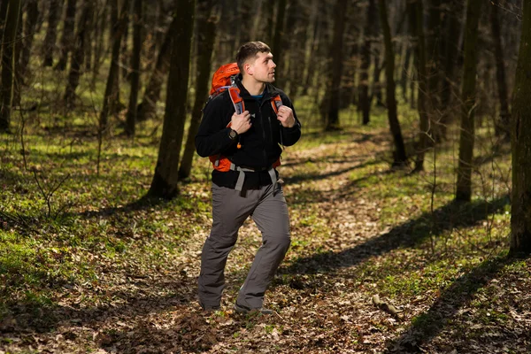 Aktif, sağlıklı bir adam güzel bir ormanda yürüyüş yapıyor.