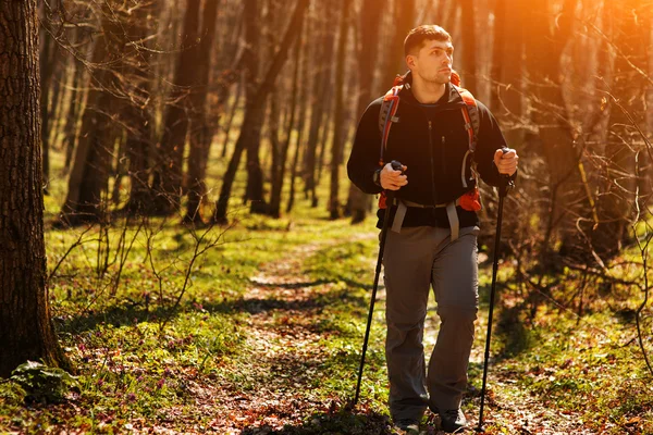 Aktiver gesunder Mann beim Wandern im schönen Wald — Stockfoto