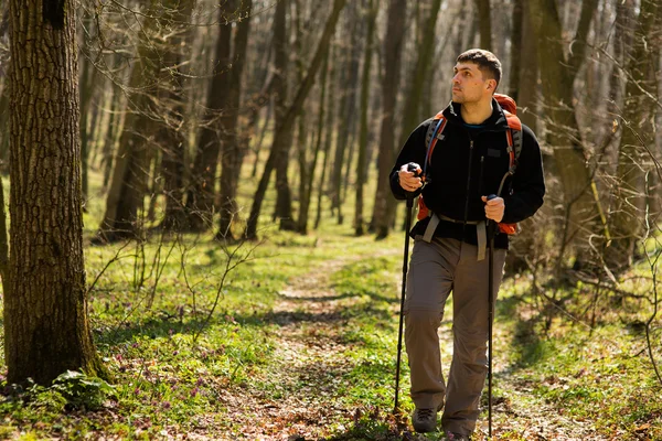 Hombre sano activo senderismo en hermoso bosque — Foto de Stock