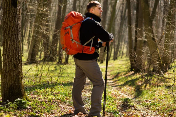 Aktiver gesunder Mann beim Wandern im schönen Wald — Stockfoto