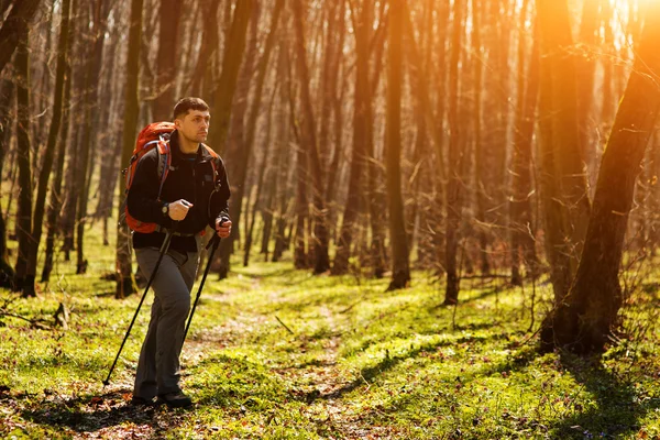 Aktiver gesunder Mann beim Wandern im schönen Wald — Stockfoto