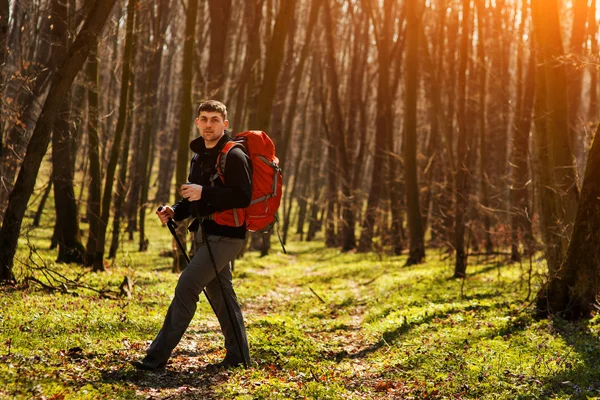 Aktiv frisk man vandring i vacker skog — Stockfoto