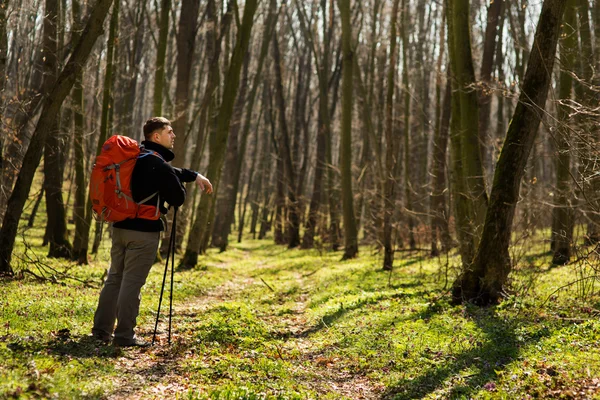 Aktivní zdravý muž turistika v krásném lese — Stock fotografie