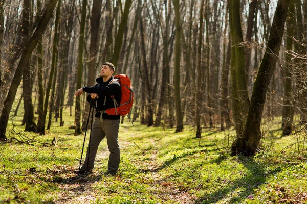 Actieve gezonde man wandelen in prachtig bos — Stockfoto