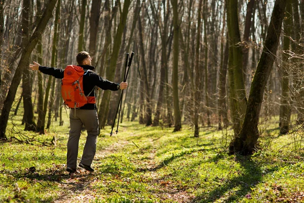 Aktív egészséges ember túrázás gyönyörű erdőben — Stock Fotó