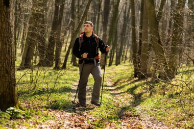 Erkek yürüyüşçü ormanda yürürken yan tarafa bakıyor.