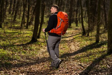 Erkek yürüyüşçü ormanda yürürken yan tarafa bakıyor.