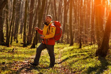 Erkek yürüyüşçü ormanda yürürken yan tarafa bakıyor.