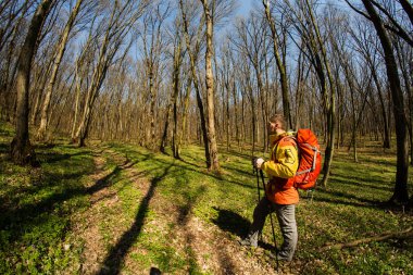 Erkek yürüyüşçü ormanda yürürken yan tarafa bakıyor.