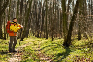 Erkek yürüyüşçü ormanda yürürken yan tarafa bakıyor.