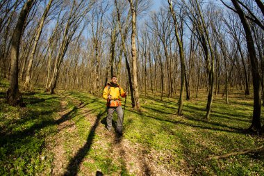 Erkek yürüyüşçü ormanda yürürken yan tarafa bakıyor.