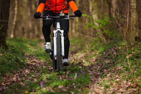 Mountain bike cyklist ridning enkelspår — Stockfoto