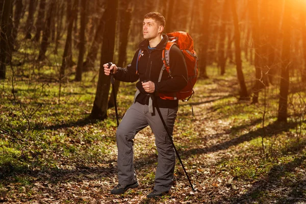 Manlig vandrare tittar åt sidan promenader i skogen — Stockfoto