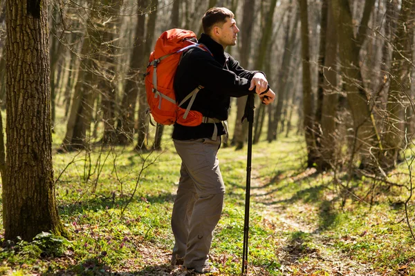 Männlicher Wanderer schaut im Wald zur Seite — Stockfoto