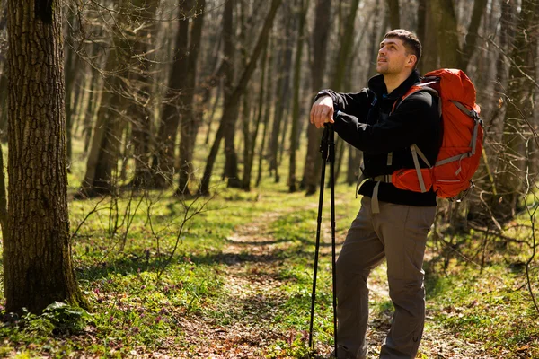 Männlicher Wanderer schaut im Wald zur Seite — Stockfoto