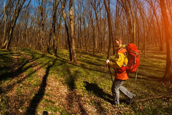 男性徒步旅行者向森林边走去 — 图库照片